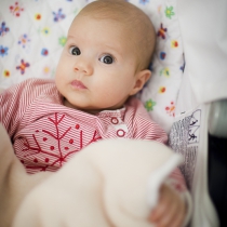 Honfi Dorottya